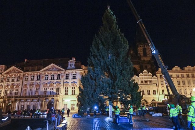 V noci z 22. na 23. listopadu byl na Staroměstské náměstí v Praze převezen vánoční strom | foto: Michal Kamaryt,  ČTK